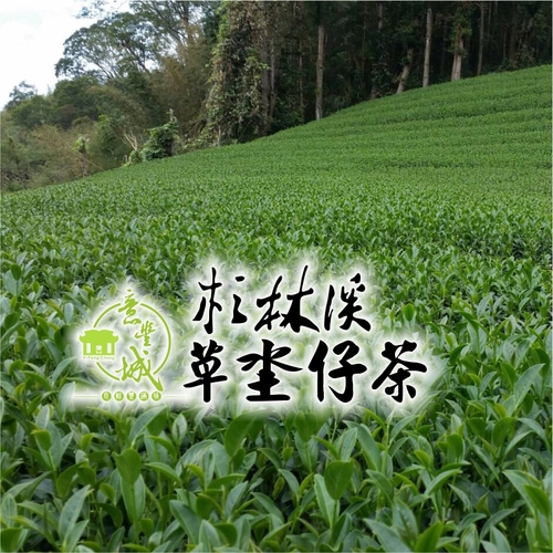 草坔仔茶