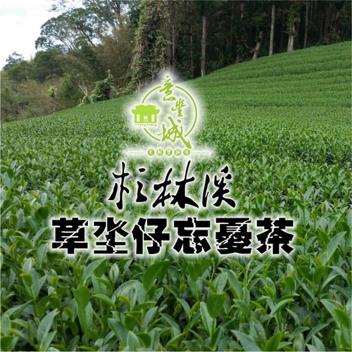 草坔仔忘憂茶