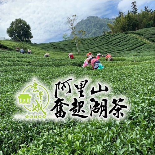 奮起湖茶