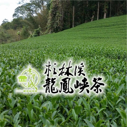 龍鳳崍茶